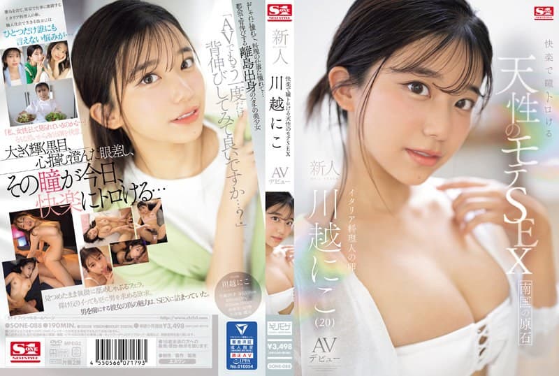 sone00088のパッケージ